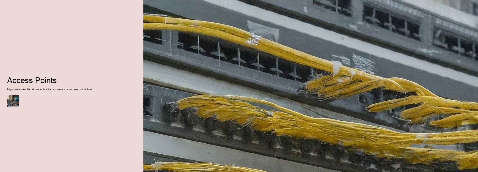Discover Our Full Catalog of Network Essentials